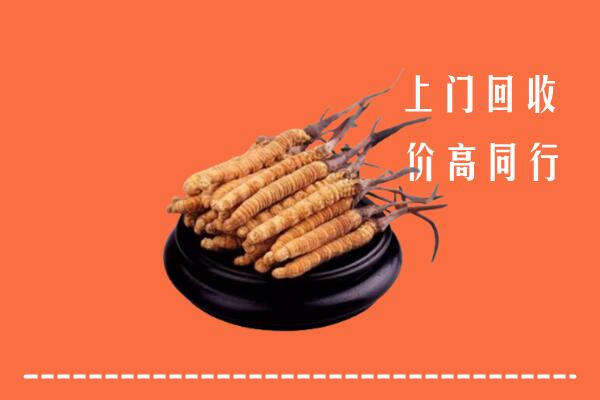 高价求购：黑河市逊克县回收散虫草