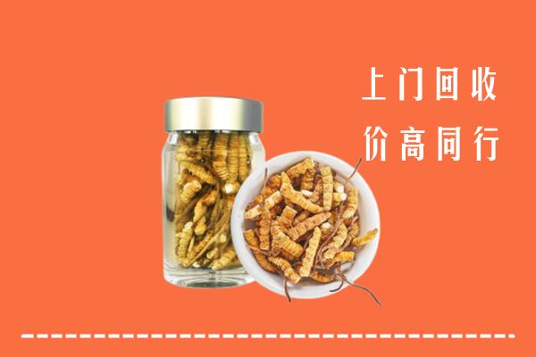 黑河市逊克县回收冬虫夏草